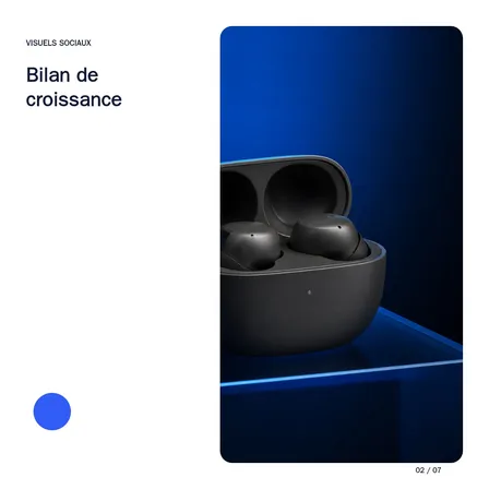 Bilan de croissance