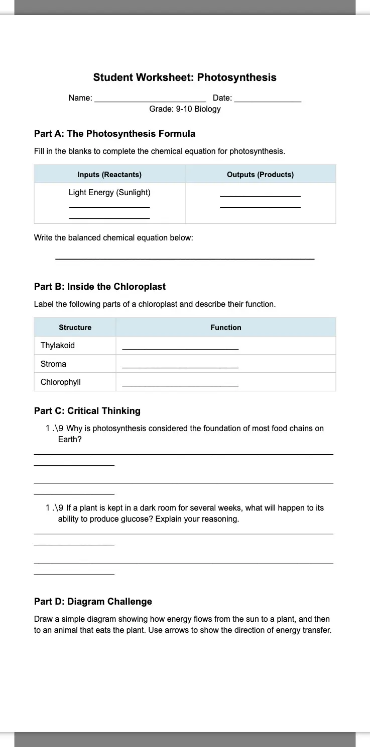 Photosynthesis Student Worksheet 2