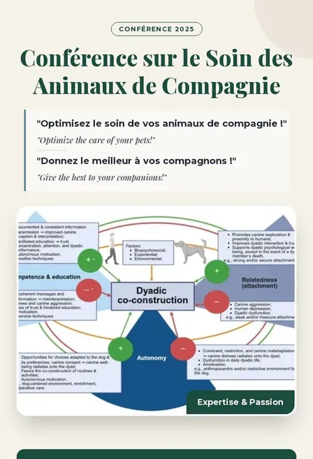 Bilingual A4 Flyer for Pet Care Conference